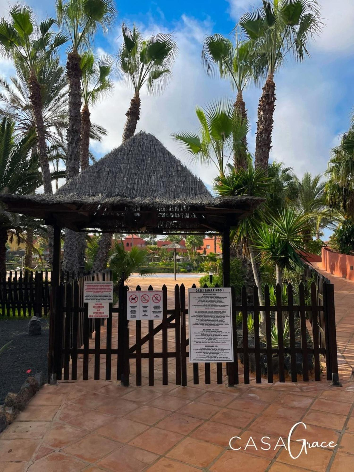Tamarindo 1 Casa Grace Wifi Free Pool View By Rentalfue Corralejo Exteriér fotografie