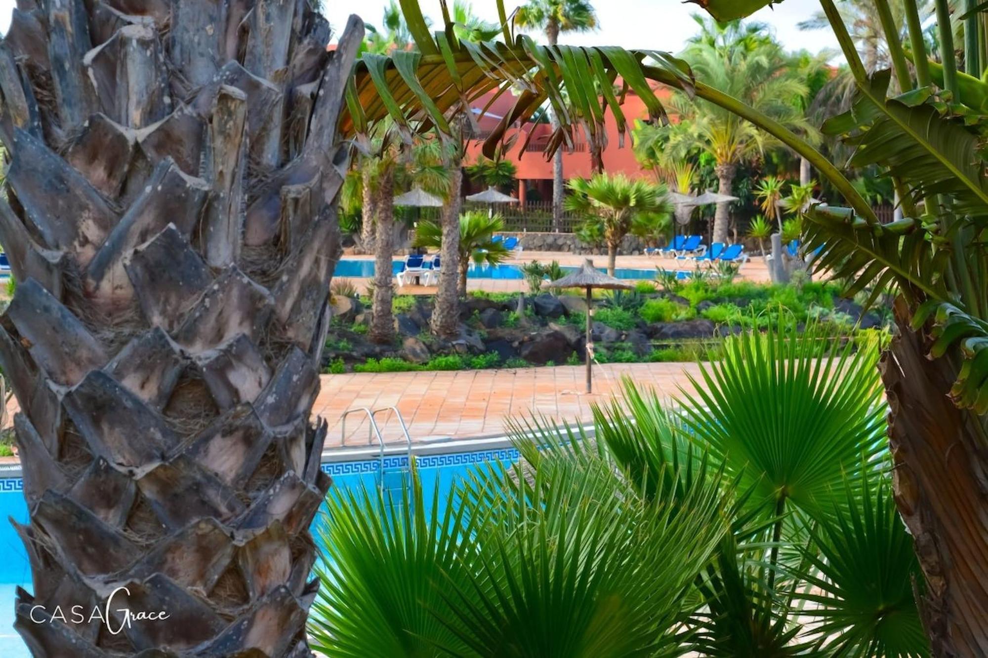 Tamarindo 1 Casa Grace Wifi Free Pool View By Rentalfue Corralejo Exteriér fotografie